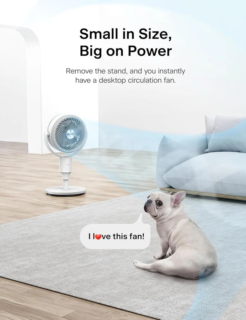 F1 Air Circulation Fan © Ⓢ Bezmo